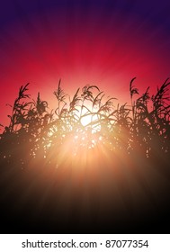 sunset in cornfield vector background