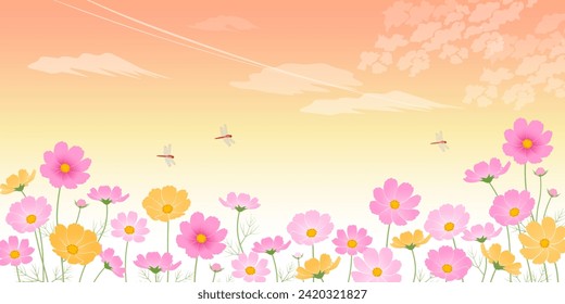 Sunset and cosmos field_image background (2:1)