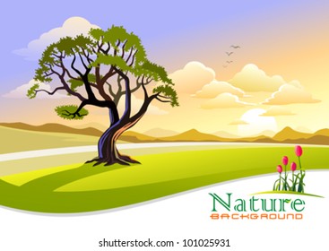 Sunset at Countryside with Graphic Wave Background