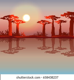 Sunset or dawn in Africa. Baobabs on shore of the lake. Vector landscape. Illustration can be used in newsletter, brochures, postcards, banner.