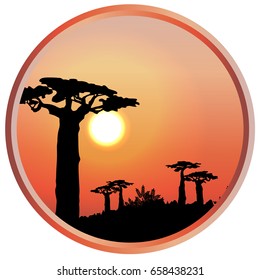 Sunset or dawn in Africa. Silhouettes of baobabs. Savannah. Vector landscape in a round frame. Illustration can be used in newsletter, brochures, postcards, banner.