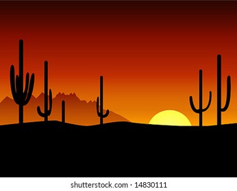 Sunset. Desert. Cactus.