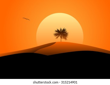 A sunset in the desert, a dune and a palm tree