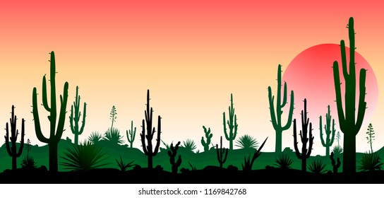 Sunset in the desert. Silhouettes of stones, cacti and plants. Desert landscape with cacti. The stony desert.                                                                                         