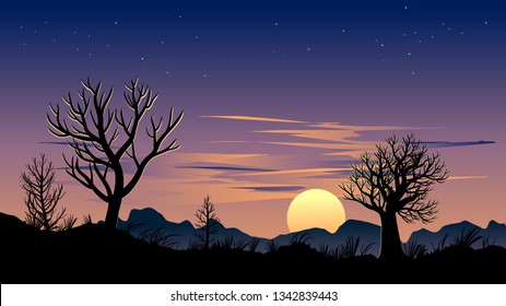 sunset in desert vector illustration