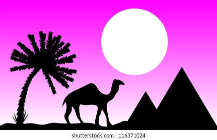 Sunset in Egypt with palms, pyramids and camel