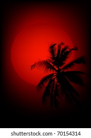 sunset in exotic land