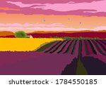 Sunset, fields of lavender, shades of purple, nature, the smells, the air, the freedom, the greens