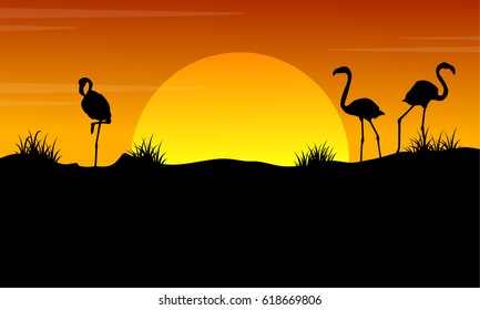 At sunset with flamingo silhouette landscape