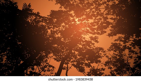 Atardecer en el bosque, hermoso paisaje, gran sol, silueta de bosque. Ilustración del vector