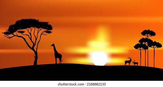sunset forest landscape with mountain nature africa