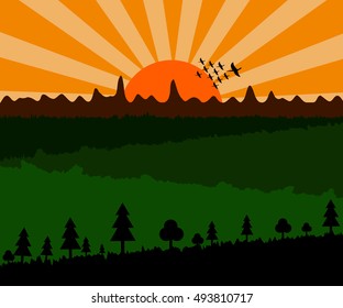 Sunset and forest landscape, vector, graphic illustrator