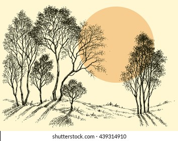 Sunset In The Forest. Trees Wallpaper. Landscape Sketch