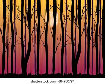 sunset in the forest vector illustration
tree's silhouettes, sun