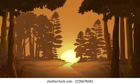 Sunset glow in coniferous forest