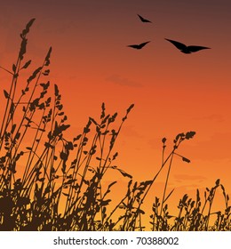 Sunset with grass and birds - vector illustration