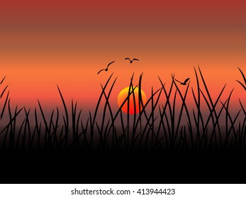 Sunset, Grass, Fly Bird. Vector landscape 