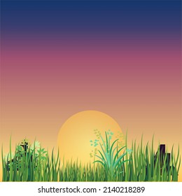 Sunset and Grass Wallpaper and Background Vector Illustration