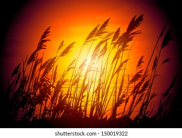 Sunset Lake Plant Vector