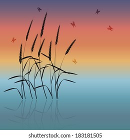 sunset landscape