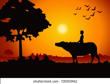 sunset landscape and country life with a boy ride on buffalo back around with tree.countryside of east lifestyle.vector illustration