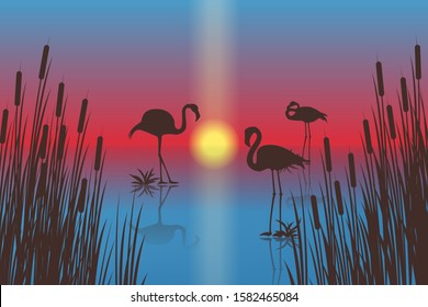 Sunset landscape with flamingo silhouettes. Vector EPS10