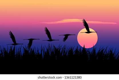 sunset landscape with flying birds