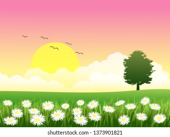 sunset landscape in meadow