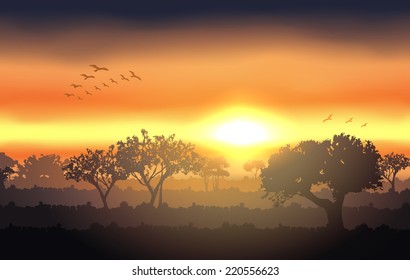 sunset landscape with tree silhouette