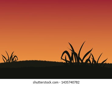 Sunset lawn background,sky and lawn landscape.