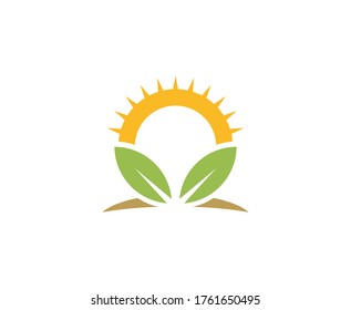 Sunset logo leaf sun nature organic vector icon 
