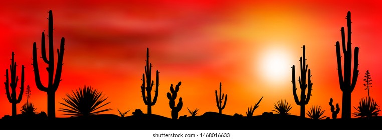 Sunset in the Mexican desert. Silhouettes of cacti and other plants of stony desert against the backdrop of a sunset. Desert landscape with cactuses.