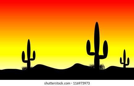 Sunset in mexico desert with cactus plants
