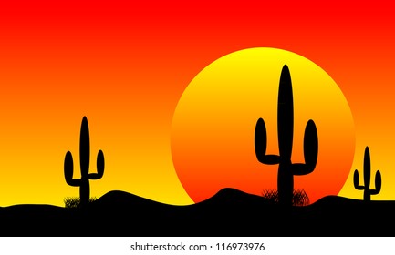 Sunset in mexico desert with cactus plants