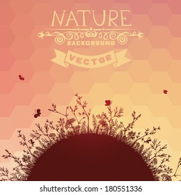 Sunset nature background. Field plants and herbs. Hexagons pattern. There is place for your text.