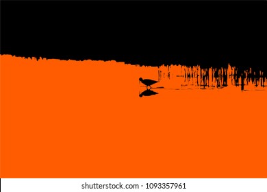 Sunset nature and bird. Vector image. Red black background.