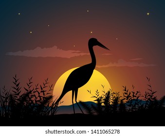 sunset nature landscape with bird 