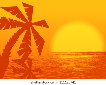 sunset at the ocean with palms