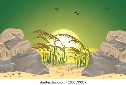 sunset on the beach