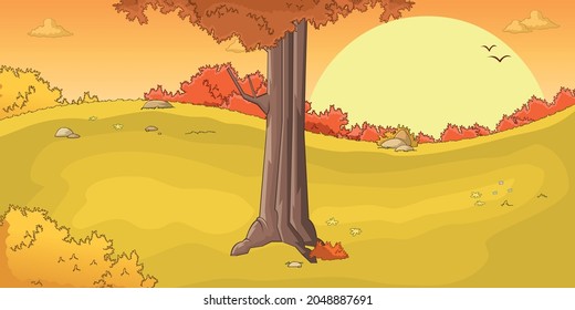 Sunset on park with grass and trees. Nature landscape.