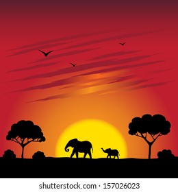 Sunset on a savanna