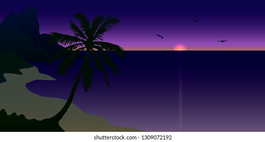 The sunset on the shore of the bay with mountains, palm trees and gulls