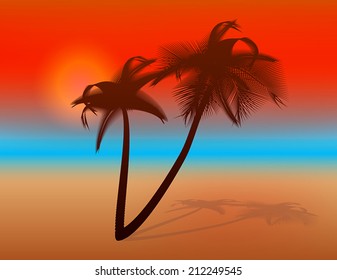 Sunset on tropical beach. Vector illustration