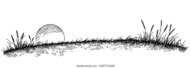 sunset over grassy hill in hand-drawn line art style