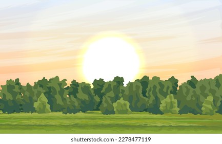 Sunset over a green field or meadow. Realistic vector summer landscape