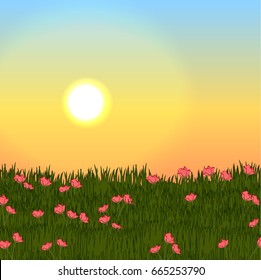 Sunset over a meadow with green grass and pink realistic flowers. Vector landscape can be used in newsletter, brochures, postcards, banner.