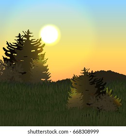 Sunset over a meadow with green grass, firs and deciduous shrubs. Edge of the forest. Vector landscape can be used in newsletter, brochures, postcards, banner.