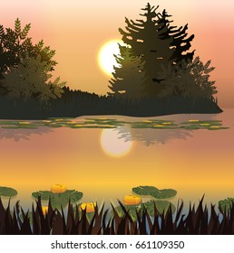 Sunset over a small forest lake. Yellow water lilies, spruce and deciduous shrubs. Rest in the countryside. Vector landscape can be used in newsletter, brochures, postcards, banner.