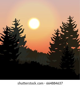 Sunset over a thick spruce forest on a hill covered with grass. Vector landscape can be used in newsletter, brochures, postcards, banner.