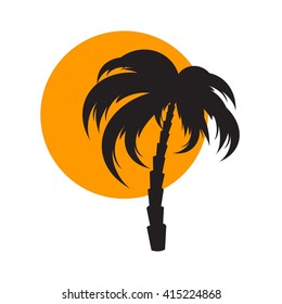 Sunset and palm tree